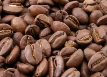 Vietnam Q1 coffee exports down by 15.8% y/y at 493,000 T