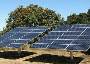 Delays in Punjab solar subsidy scheme disappoint 450,000 farmers