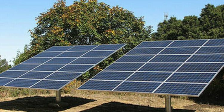 Delays in Punjab solar subsidy scheme disappoint 450,000 farmers