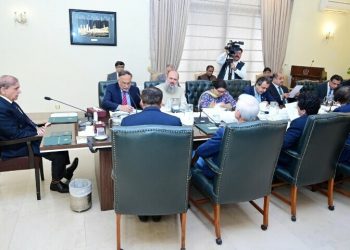 Govt’s priority in upcoming budget is to provide relief to common man: PM Shehbaz