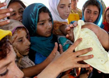 11m people facing acute food insecurity in Pakistan: FAO