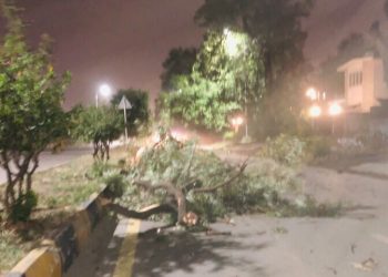 1 child dead, 11 injured in different areas of KP due to strong winds, storms: official