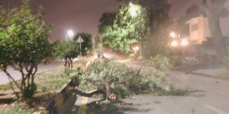 1 child dead, 11 injured in different areas of KP due to strong winds, storms: official