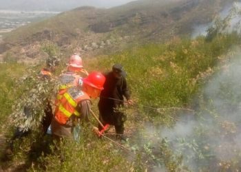 Forest fires successfully contained across KP’s districts