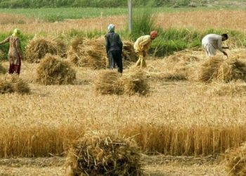 ADB to scale up food security support to $40bn by 2030