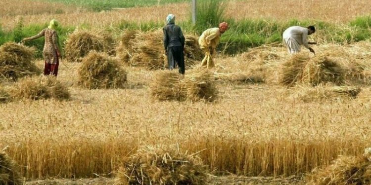 ADB to scale up food security support to $40bn by 2030