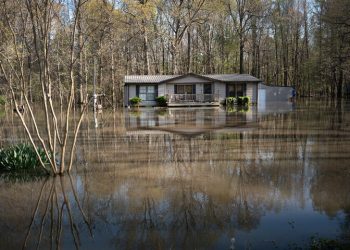 At least 16 killed, dozens injured as suspected tornadoes hit Missouri and Kentucky, NBC reports