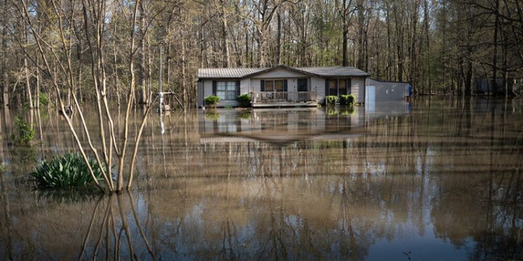 At least 16 killed, dozens injured as suspected tornadoes hit Missouri and Kentucky, NBC reports