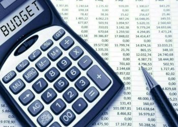 Budget FY26: govt to continue fiscal consolidation, follow IMF guidelines, says Topline