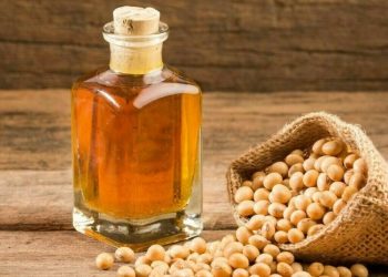 Chicago soyoil extends slide on biofuel doubts, soybeans steady