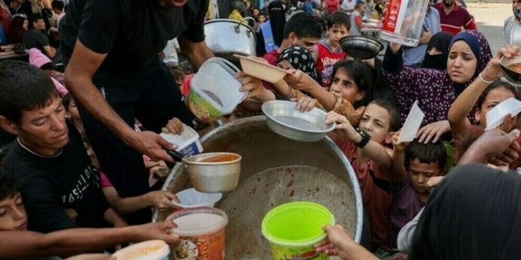 Dozens of Gaza communal kitchens shut as supply runs out