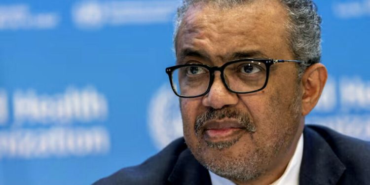 Global health funding faces ‘greatest disruption’ in memory, says WHO director