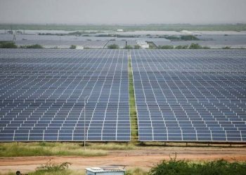 India dismisses state-run clean energy agency chairman