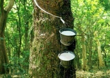 Japan rubber futures end flat as BOJ cuts growth forecast