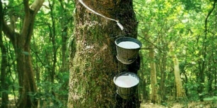 Japan rubber futures end flat as BOJ cuts growth forecast