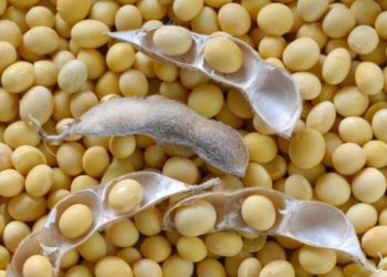 Pakistan makes large US soybean purchase as tensions with India rise