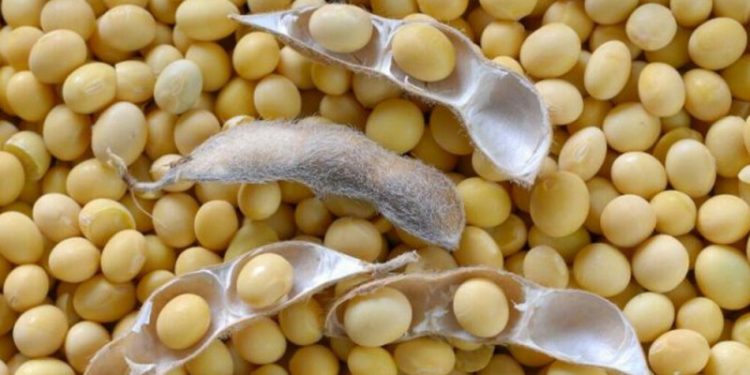 Pakistan makes large US soybean purchase as tensions with India rise