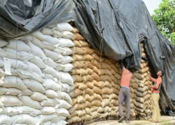 Saudi Arabia issues tender to buy 655,000 metric tons of wheat