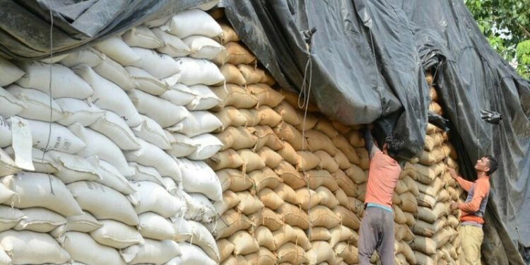 Saudi Arabia issues tender to buy 655,000 metric tons of wheat