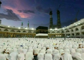 Saudi govt launches health awareness kits for Haj pilgrims