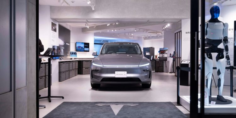 Tesla's robotaxi debut will be invite-only and have a lot of teleoperators, an analyst says. Here's what that could mean.