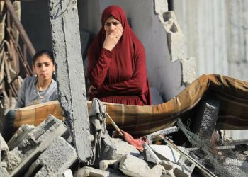 UN says more food needed in Gaza as looting hampers deliveries