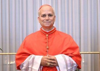 USA Cardinal Prevost elected Pope Leo XIV