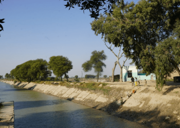 Suspect in Hafizabad double child murder case drowns in canal while fleeing police custody