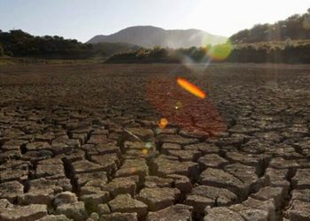 Adaptation to prolonged heatwaves essential for survival: climate ministry