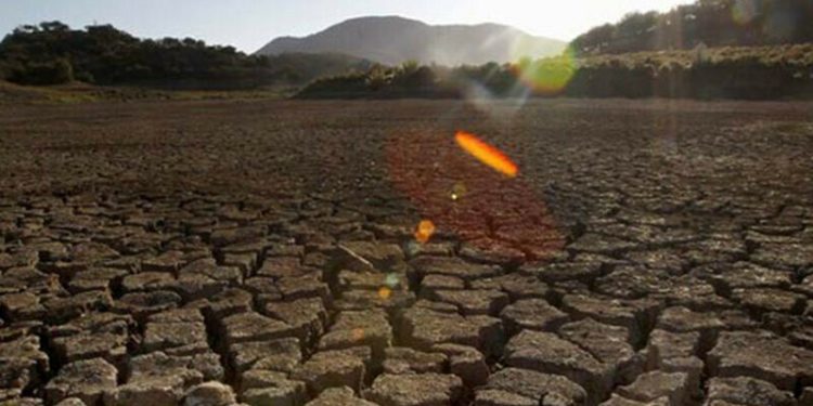 Adaptation to prolonged heatwaves essential for survival: climate ministry