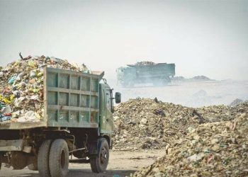 PPP-led Karachi municipal set-up under fire over ‘negligence’ in offal disposal