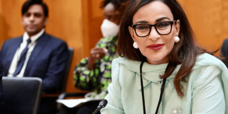 India a ‘belligerent power spinning out of control’, says Sherry Rehman on Jaishankar’s remarks