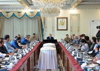 Lowest income tax rate is 1pc, not 2.5pc: PM Shehbaz