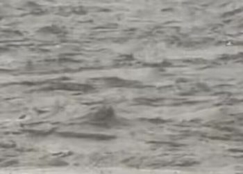 4 bodies recovered as at least 10 drown in Swat River flash floods