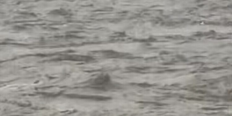 4 bodies recovered as at least 10 drown in Swat River flash floods