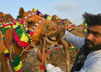 Between reverence and reality: The lost spirit of Eidul Azha