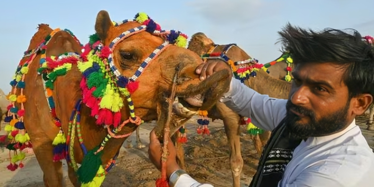 Between reverence and reality: The lost spirit of Eidul Azha