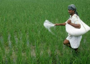 CCP fines fertilizer firms, FMPAC Rs375mn for price fixing - Business & Finance