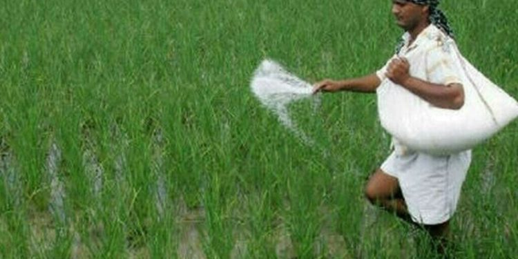 CCP fines fertilizer firms, FMPAC Rs375mn for price fixing - Business & Finance