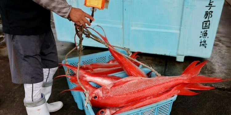 China to resume some Japanese seafood imports after Fukushima ban - Business & Finance