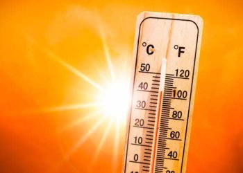 Feels-Like Temperature Hits 60°C as Pakistan Sizzles Under Intense Heat
