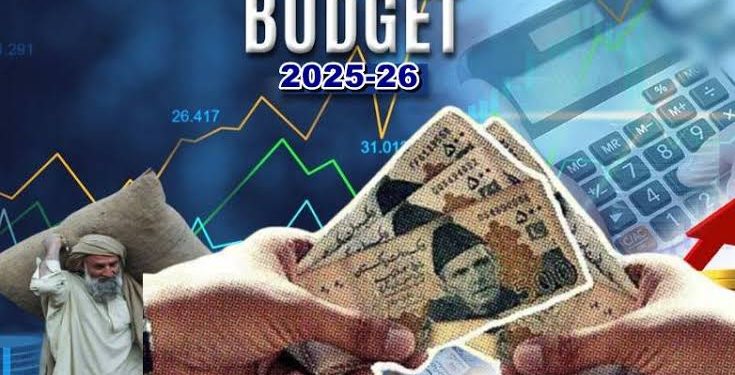 Government Impose 27.5% Tax on Monthly Income of Rs 333,000 in 2025-2026 Budget