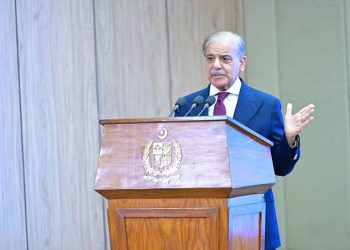 Govt Not to Discourage Solarisation Boom, Committed to Provide Maximum Relief: PM Shehbaz