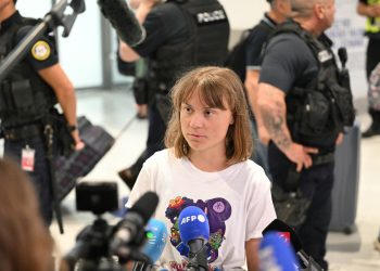 Israel deports four from intercepted Gaza-bound Madleen, others in custody