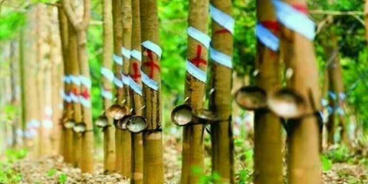 Japan rubber futures extend rise on Nikkei gain, supply concerns