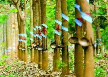 Japan rubber futures log largest weekly gain in 9 months on supply woes