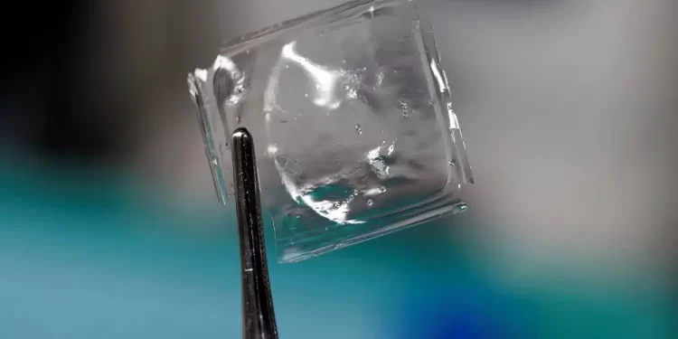 Japanese Scientists Develop Plastic that Dissolves in Seawater Within Hours