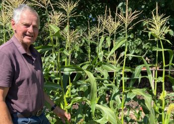 My father-in-law retired at 55 and is now 86. His successful early retirement taught me 4 lessons I plan to follow.