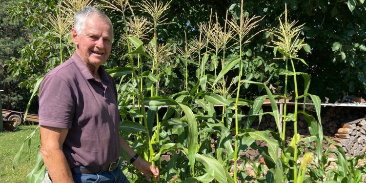 My father-in-law retired at 55 and is now 86. His successful early retirement taught me 4 lessons I plan to follow.