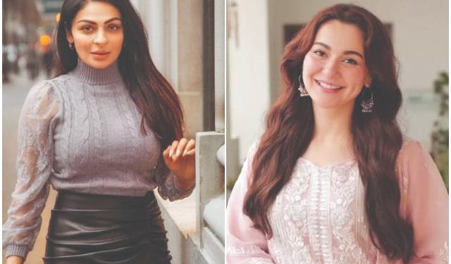 Neeru Bajwa unfollows 'Sardaar Ji' co-star Hania